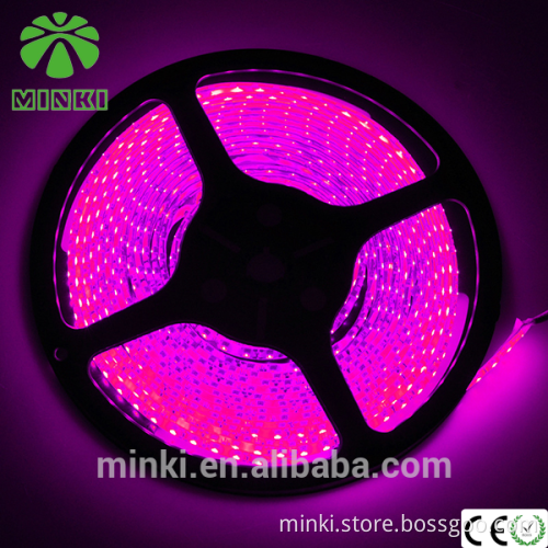 High quality 12V SMD 5050 300LED Waterproof RGB Heat Resistant Led Strip Light